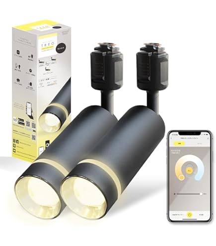 Amazon.co.jp: エジソンスマート ミニシーリングライト (ダクトレール