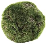 asca 造花 こけ玉 直径13cm A-15679-018