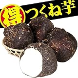 国華園　山いも種芋　つくねいも(切イモ)　30個【※発送が国華園からの場合のみ正規品です】