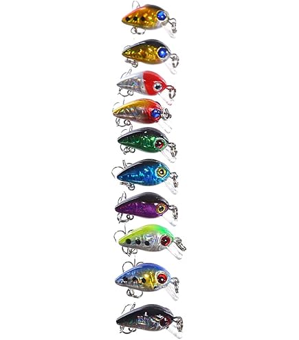クランクベイトセット Amazon.co.jp: ルアー ケース入り 5色セット クランクベイト 7