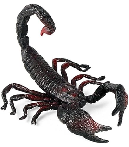 Amazon.co.jp: Papo(パポ) タランチュラ PVC PA50190 : おもちゃ