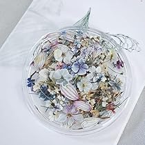 Amazon.co.jp: ドライフラワー ネイルパーツ 押し花 レジン用 花