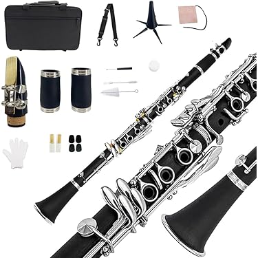 Amazon.co.jp 売れ筋ランキング: クラリネット の中で最も人気のある