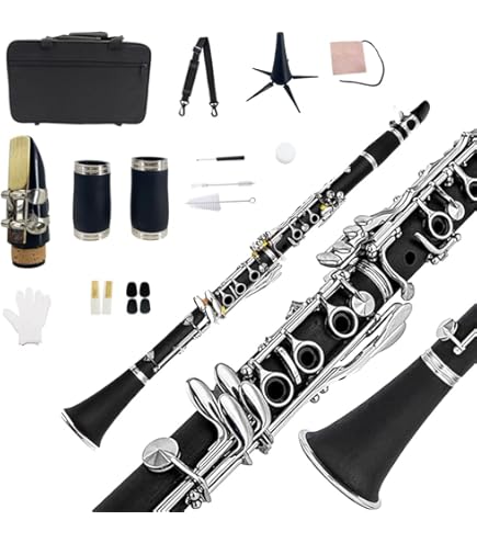 Amazon | Soleil ソレイユ クラリネット[Eフラット] SCL-2Eb