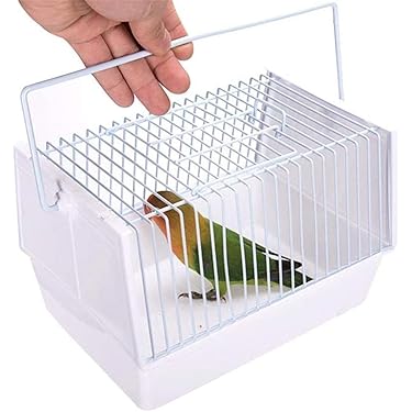 Amazon.co.jp 人気ギフトランキング: 鳥かご ・ケージ で、ギフトの