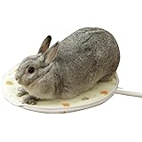 アイリスオーヤマ イヌ ペット用ホットカーペット Sサイズ 丸形 PHK-S
