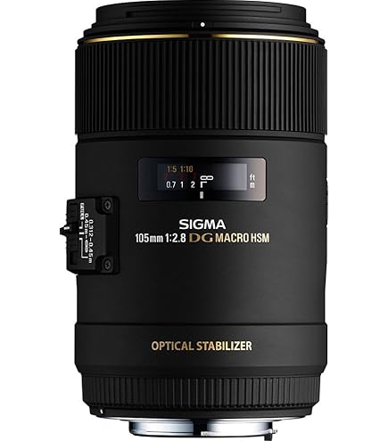 Amazon.co.jp: シグマ 105mm F2.8 EX DG MACRO ソニー用 : 家電＆カメラ