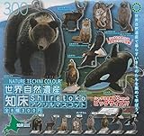 [いきもん] ネイチャーテクニカラー 世界自然遺産 知床 アクリルマスコット 全8種セット