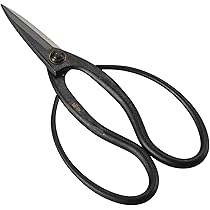 盆栽鋏 大きめ 黒 箱入り 18000円 Amazon.co.jp: 高儀(Takagi) 菊堂 盆栽鋏 鋼付 180mm 鉢物 整枝