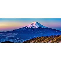 Amazon.co.jp: 絵画風 壁紙ポスター （はがせるシール式） 三ツ