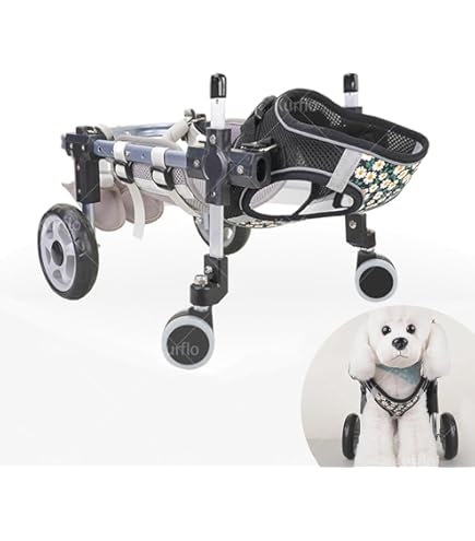 Amazon.co.jp: 犬用車いす ハンドル付きフルサポート障害猫用車椅子