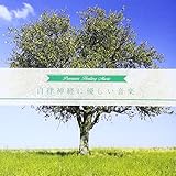 �����_�o�ɗD�������y