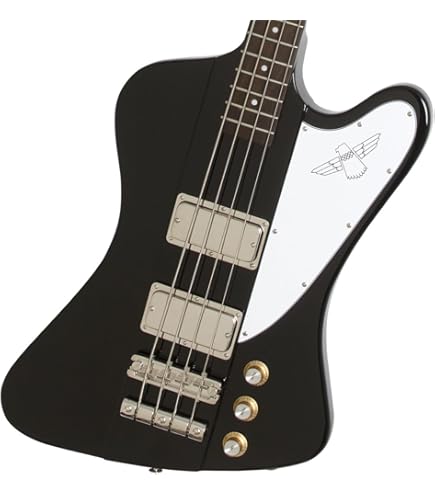 Epiphone Goth IV サンダーバード　ベース Epiphone Goth Thunderbird IV - What To Know & Where To Buy