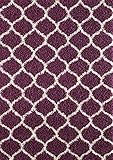 (Purple & Ivory, 120x170 cm - 0.9mx1.5m ft) - A2Z RUG Cosy Super Trellis Shaggy Rugs Purple & Ivory 