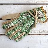 【ノーブランド品】ウィリアム・モリスHoneysuckleコットンガーデナーグローブ[BRIERS女性用手袋]