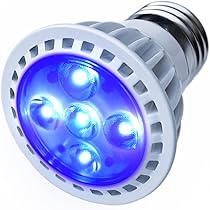 Amazon.co.jp: B.R.S Lighting Master C-05【ロイヤルブルー】50,000K