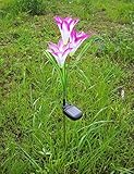De-Spark 3 LED Solar Lily Flowers Garden Lights Colorful Color Changing Outdoor Waterproof Wireless 