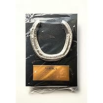 VODKA 29th Japan Cup 蹄鉄レプリカ 71fGWAdXUuL._AC_SY200_QL15_.jpg
