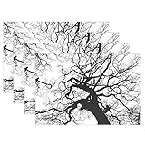 wihveプレースマットWipeableダイニングブラックandホワイト古いツリー 12 x 18 inch