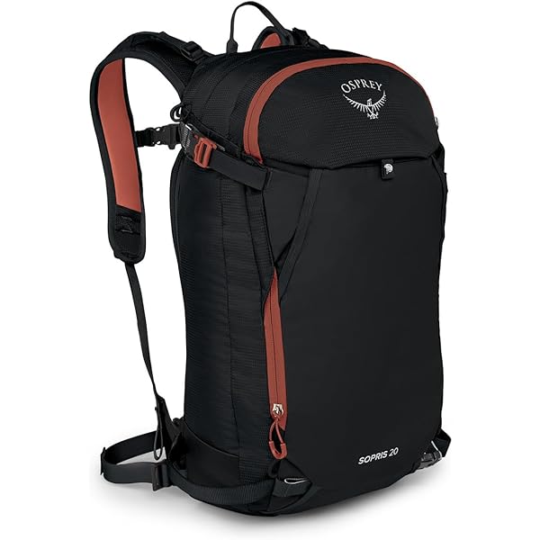 Amazon.co.jp: Osprey Kamber 16L メンズ バックカントリー スキー