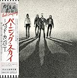 �o�[�j���E�X�J�C