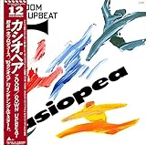 ZOOM[カシオペア][LP盤]