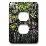 3dRose lsp_212914_6 Tree Over The Bog - 2 Plug Outlet Cover [並行輸入品]