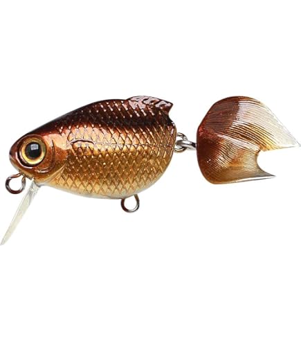 Amazon.co.jp: ラッキークラフト(LUCKY CRAFT)金魚・姉金60F