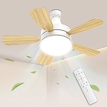 Amazon.co.jp : 【節電・目に優しい】TENKOO&YOU シーリングファン