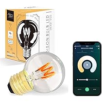 Amazon.co.jp: エジソンバルブLEDスマート E26 レトロなスマート電球
