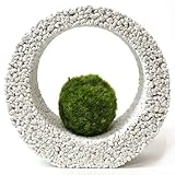 【eco-pochi】 苔ポチ×リングS　白　コケポチ こけぽち 観葉植物　苔玉　竹炭やシラスを使った観葉植物用ポッド