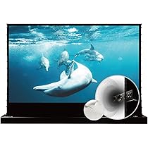 VIVID STORM プロジェクタースクリーン92インチ 床置き電動格納式 Amazon | プロジェクター スクリーン VIVIDSTORM 4K 8K 3D UHD