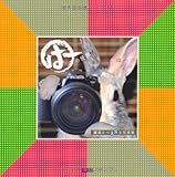 はーの世界　繊細かつ失笑な写真集