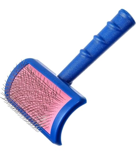 Amazon.co.jp: BIOGANCE マッサージブラシ 化粧箱入り 高級ナッツの木