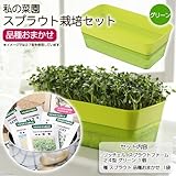(観葉)私の菜園 スプラウト栽培セット 品種おまかせ(スプラウトファーム 24型 グリーン) 家庭菜園 [生体]