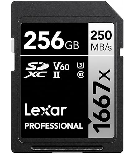 SanDisk Extreme PRO 256GB SDXCカード V60 280MB/秒