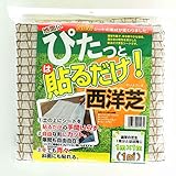 ぴたっと貼るだけ西洋芝1平米分10袋セット（10平米分） [初心者向き][屋上緑化] ノーブランド品