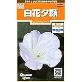 サカタのタネ 実咲花7740 白花夕顔 00907740