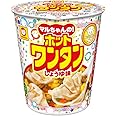 ホットワンタン しょうゆ味 46g×12個