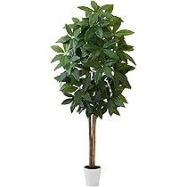 Nearly Natural 人工樹木 金のなる木 ホワイトプランター付1.2m Amazon｜Nearly Natural 人工樹木 金のなる木 ホワイト
