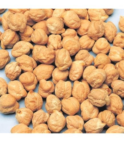 Amazon.co.jp: 日光種苗 オリエンタルビーン ヒヨコマメ 1dl : DIY