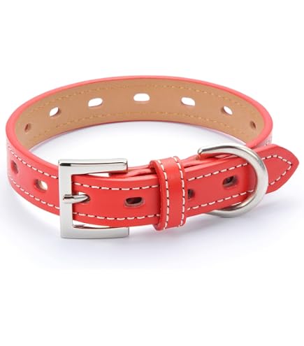 ドイツ製＊新品 DASLEDERBAND 犬用首輪 本革 フィレンツェ S20 Amazon