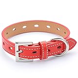 犬 首輪 おしゃれ かわいい ブランド 中型犬 小型犬 超小型犬 いぬ くびわ 革 レザー 皮 チワワ トイプードル 犬用首輪 てるべる No1(FBM) (赤, SS)