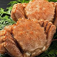 毛ガニ 計1.6kg前後 (約800g×2尾入) 北海道産 特大 ボイル 冷凍 毛蟹 けがに かに カニ