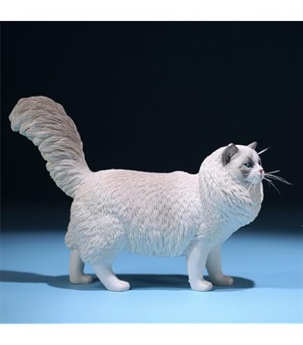 【ブラッキー】可愛い猫（予約） おは☀️ なかよち🫶🖤 毎日が一瞬で終わる😳 起きたら