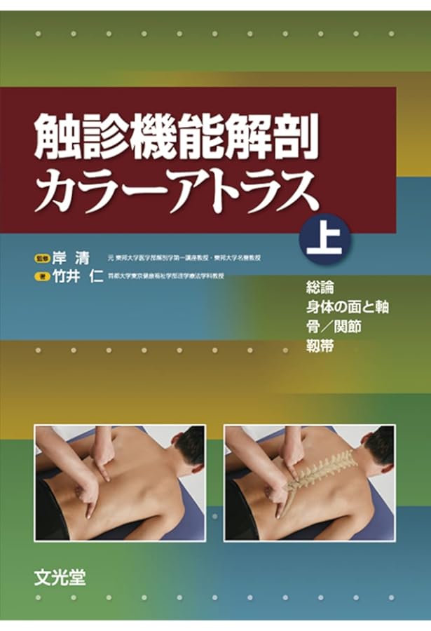 触診機能解剖カラーアトラス 下 筋・血管・神経 | 竹井 仁 |本 | 通販