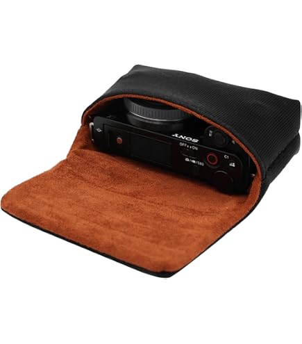 Amazon | パナソニック デジタルカメラケース LUMIX 0.3L FX30用 本革