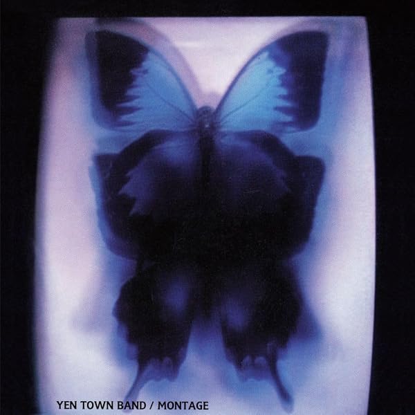 Amazon.co.jp: Swallowtail Butterfly~あいのうた~7inch analog record