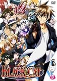 BLACK CAT VOL.12