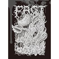 Amazon.co.jp: FACT/co3 [2CD+能面+Tシャツ(Mサイズ)]: ミュージック